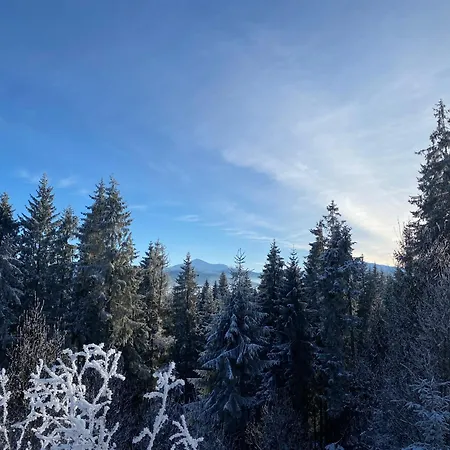 Котедж Краєвид Yablunytsya Exterior photo