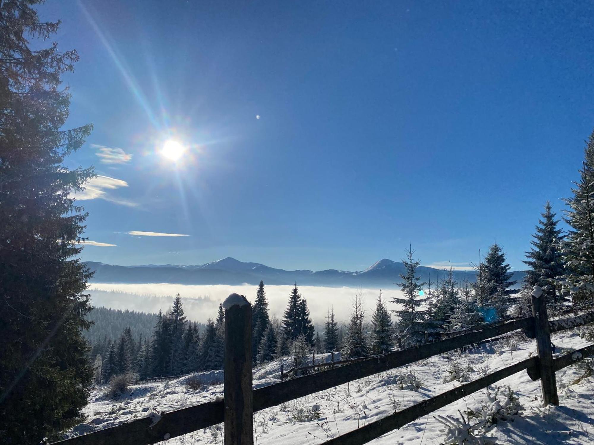 краєвид